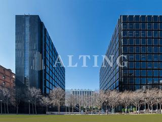Lloguer Oficina  Diagonal. Oficinas en alquiler en el edificio dau en avenida diagonal