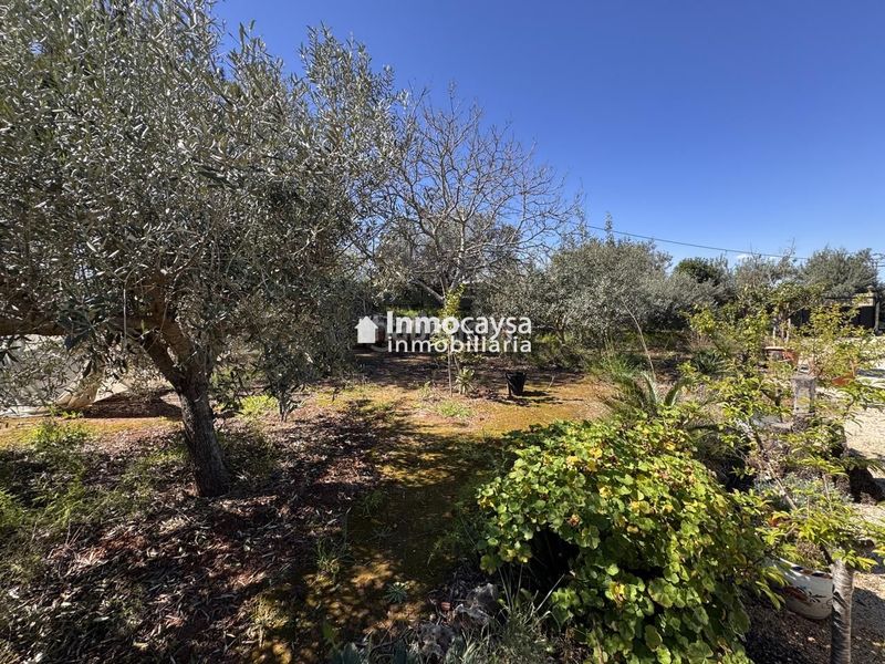 Foto 1ce771f9-057b-41b7-9c16-7155cfb28e95. Casa amb piscina a Barxeta