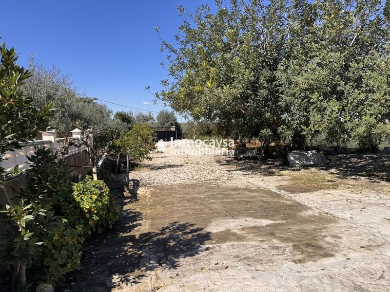 Foto 89b73227-37ea-4046-a7bd-e6daea075bfd. Casa amb piscina a Barxeta