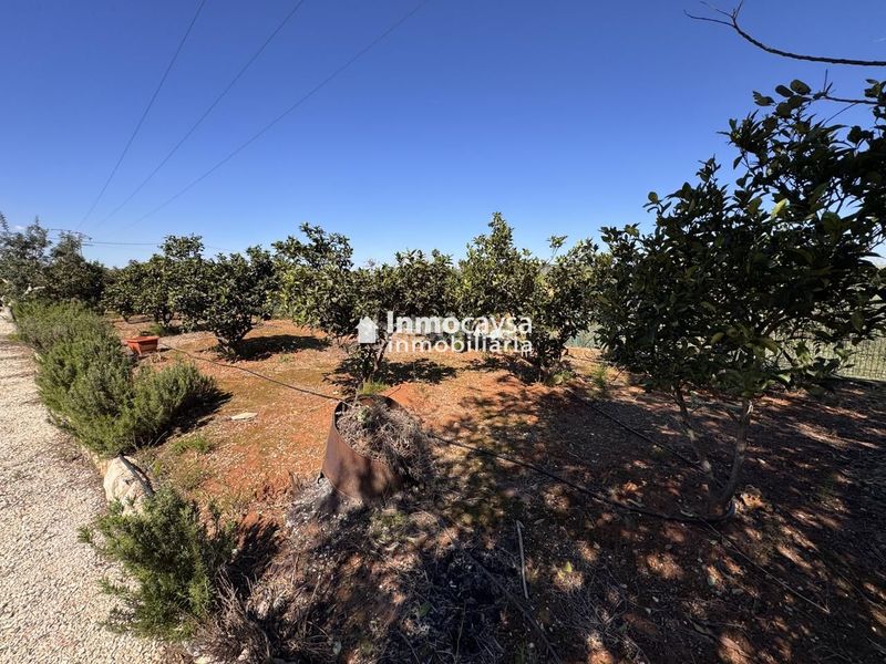 Foto a8da9b0f-a1e8-41c7-9ef8-e8a8b19ae649. Casa amb piscina a Barxeta