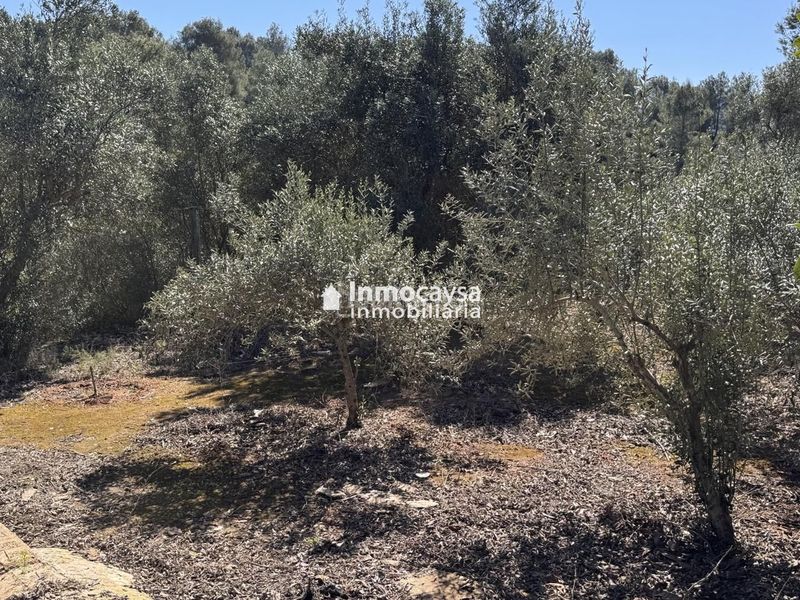 Foto f04e6d03-5b4c-445a-8e0f-86d8dec13f14. Casa amb piscina a Barxeta