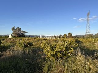 Landgut in Xàtiva. Terreno con naranjos