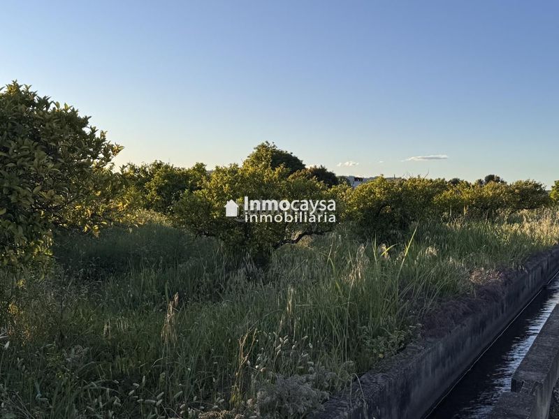 Foto 8d932da3-7cfb-46b2-b81f-81ab207e42da. Finca rústica a Xàtiva