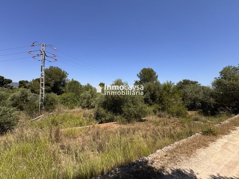 Foto b03b1a6a-12a8-4ce0-9024-e673fa3b04a6. Finca rústica parcela rústica en Montesa