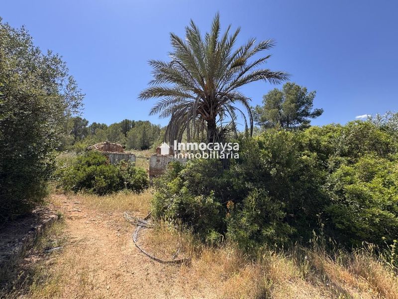 Foto ed4d8530-7d0c-496c-8329-6c1d1636035a. Finca rústica parcela rústica en Montesa
