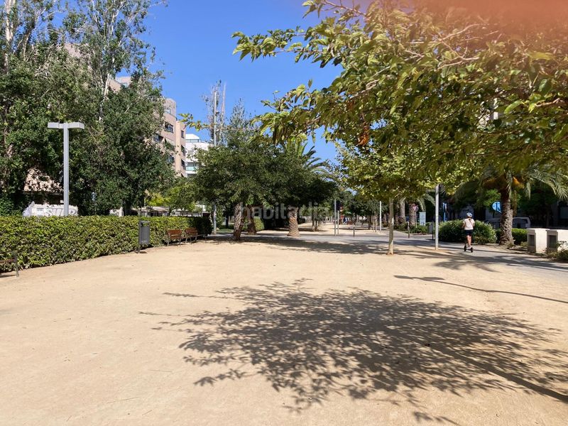 Foto cd7a0890-35a2-47ef-8fee-1a0422fb0b9e. Pis a Garbinet - Parque de las Avenidas Alicante