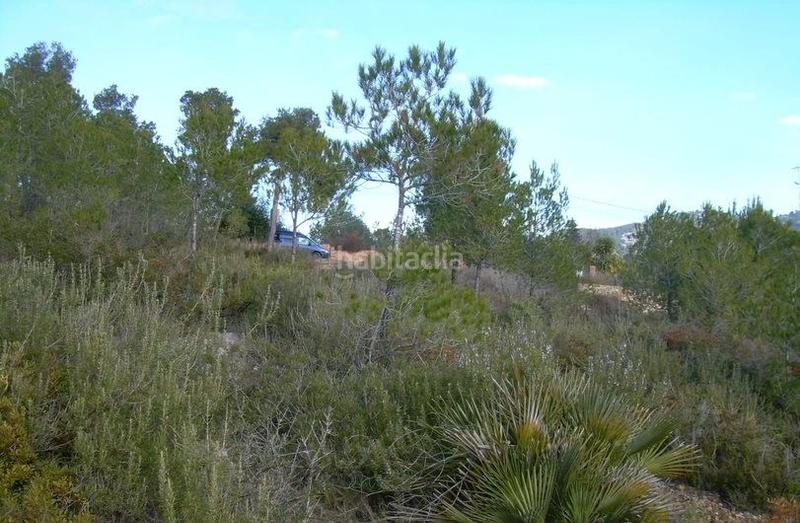 Foto 05c8f6d2-8277-48cc-bbfc-e4f7791beb7e. Terreny residencial a Avinyonet del Penedès