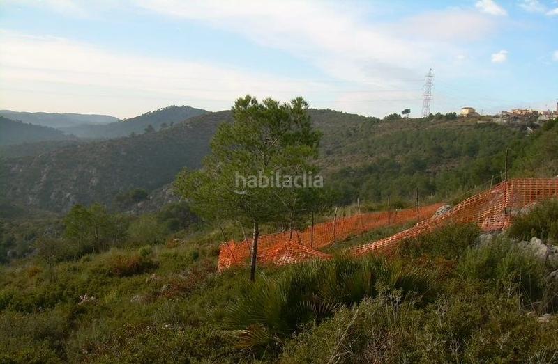 Foto 979d4500-b619-4bd6-9008-2c1e0e84a3b5. Terreny residencial a Avinyonet del Penedès