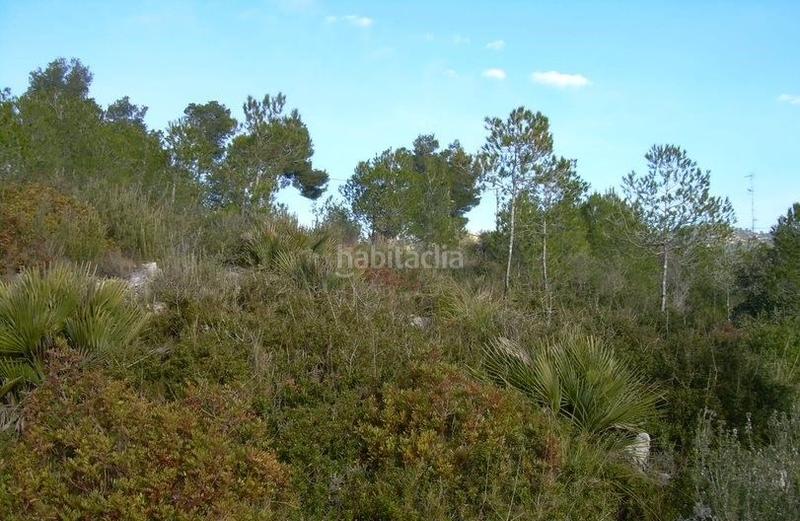 Foto 9cb4b2ad-5a88-4561-b693-02f9f1f0b382. Terreny residencial a Avinyonet del Penedès