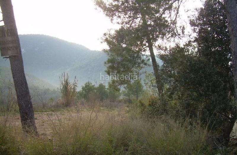 Foto aabb28d0-8725-4ef3-b900-b38c41bd69c6. Terreny residencial a Avinyonet del Penedès