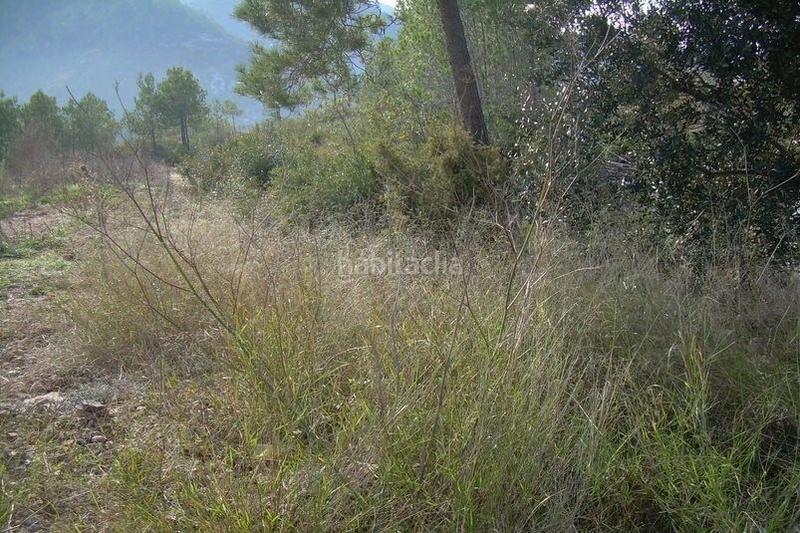 Foto d99a6668-d6b1-4747-b2e7-ea57b2d2bb9c. Terreny residencial a Avinyonet del Penedès