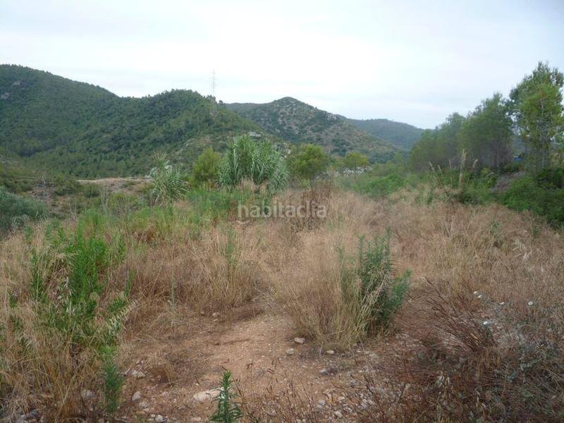 Foto ee0ab238-dce3-40c3-a81d-dc57c7756042. Terreny residencial a Avinyonet del Penedès