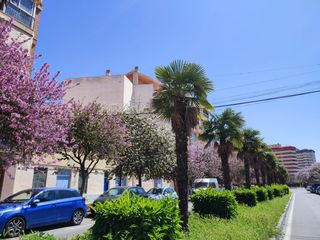 Lloguer Pis a Florida Baja. Piso en alquiler en florida baja