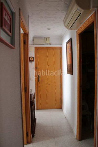 Foto c4794c7e-c086-4623-ab36-905f0af97059. Pis a Ciudad de Asís Alicante