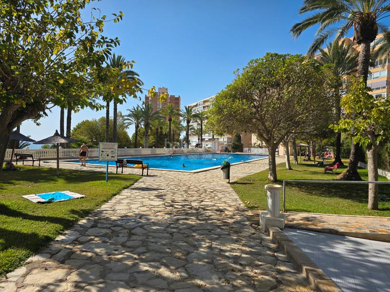 Foto 006ab956-9d1f-4d0a-9e04-41615ccfc367. Lloguer pis a avenida jaime i el conquistador 66 a Campello (el)