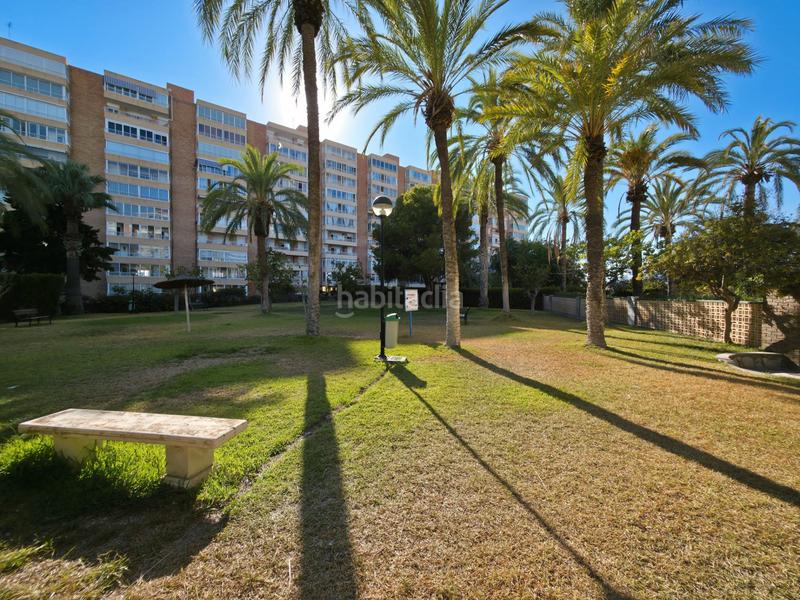 Foto 2a473237-ca5f-4607-9aa1-31b71906d30b. Lloguer pis a avenida jaime i el conquistador 66 a Campello (el)