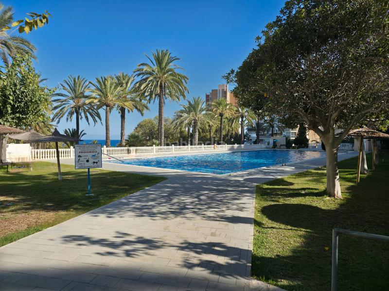 Foto 396f7325-8229-4e73-b591-607d10fa3095. Lloguer pis a avenida jaime i el conquistador 66 a Campello (el)