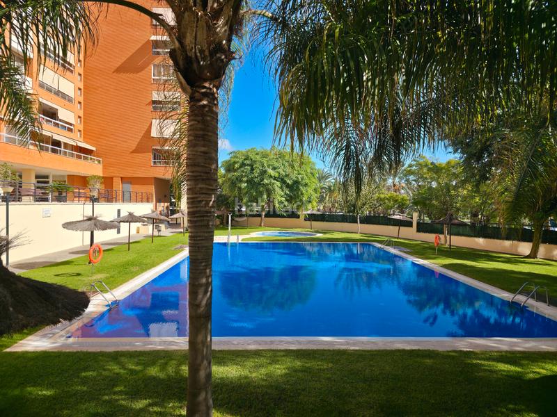 Foto 52e1266d-4f0a-404f-af1b-49106cfa5a8c. Pis a carrer nadadora carmen soto 10 a Babel Alicante