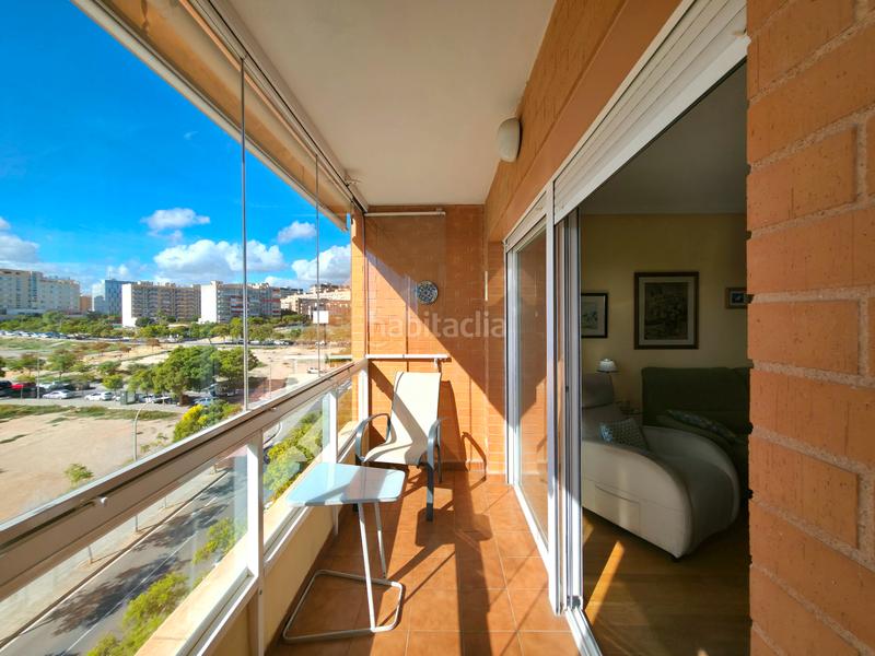 Foto 661dbe56-0919-4194-8178-375106b2a363. Pis a carrer nadadora carmen soto 10 a Babel Alicante