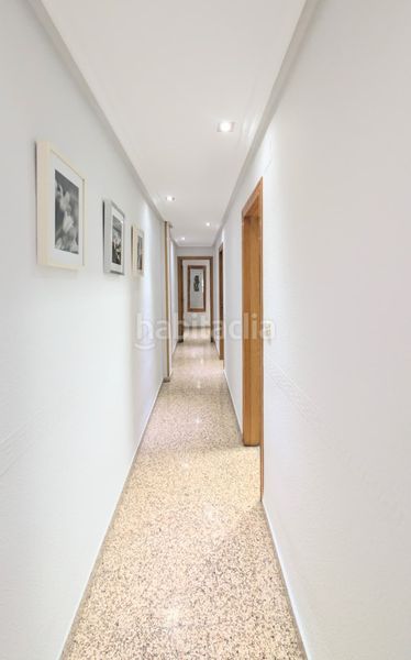 Foto 8969588a-b0e2-4a83-91c9-5e0f199a1e81. Pis a Carrús Oeste Elche / Elx