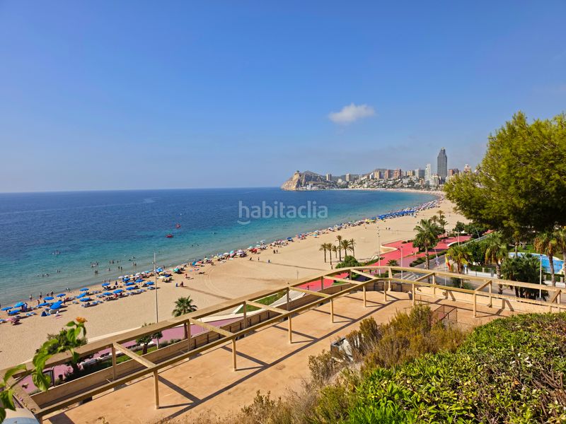 Foto 35da8b4c-e756-4642-afbb-5a5eb98d4c2c. Pis amb calefacció aparcament piscina a Playa Poniente Benidorm