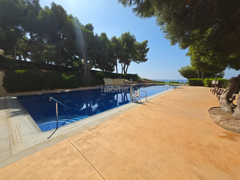 Foto 8db59c77-3c00-4729-b5e6-756de5012e21. Pis amb calefacció aparcament piscina a Playa Poniente Benidorm