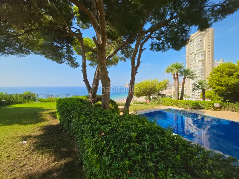 Foto af3c0515-af3b-4996-b266-7efc81e90a97. Pis amb calefacció aparcament piscina a Playa Poniente Benidorm