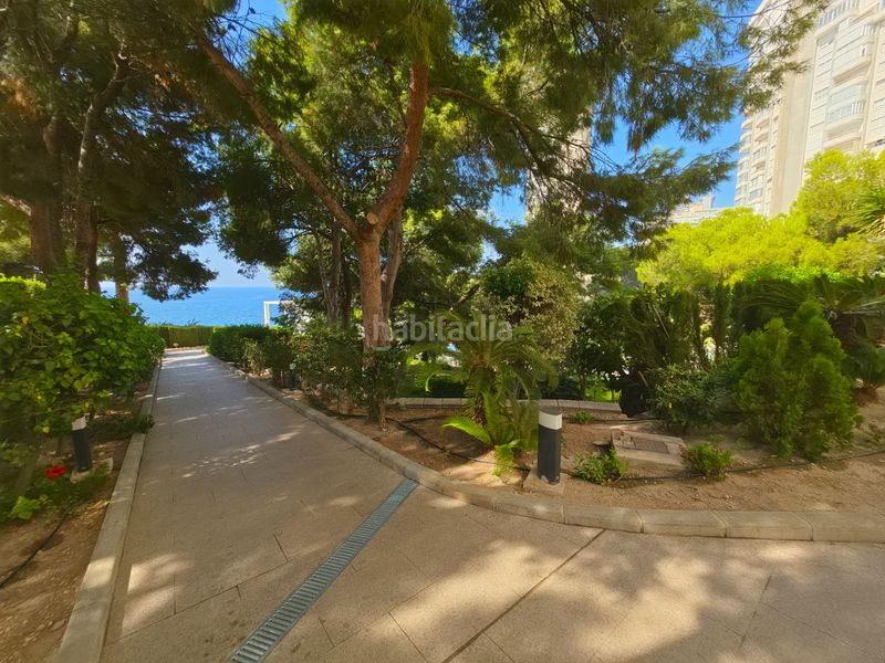 Foto f4b795a0-455e-4cf1-bac9-bbb6d366a2c2. Pis amb calefacció aparcament piscina a Playa Poniente Benidorm