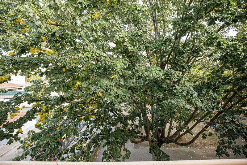 Foto 4119ab0f-56ba-4b87-9ea6-83c0091e6254. Maison jumelée avec chauffage parking dans Maçana Salt