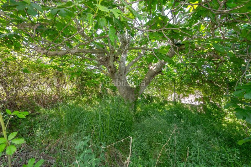 Foto 7a899fff-be80-486d-8fba-80c550e1b036. Xalet amb aparcament a Llagostera