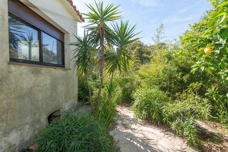 Foto eaa655f9-64dc-4004-aa19-be922dfff361. Xalet amb aparcament a Llagostera