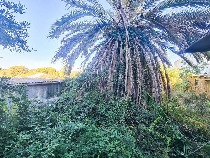 Foto 147fef2d-a2ae-4837-a280-bdbb517beec3. Casa oportunidad: venta- casa a 4 vientos con 800 m² de parcela en Tarragona