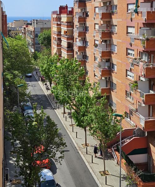 Foto 46b166d8-e612-4140-80cb-43895e51083a. Pis a Bufalà Badalona