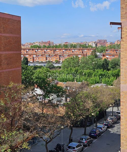 Foto ae1839c4-cd76-4b2d-a996-a92fe674445f. Pis a Bufalà Badalona