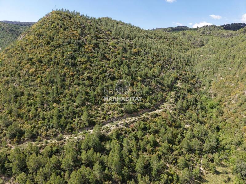 Foto 7111a6a8-a0d3-49a1-9cf2-814b309ce85f. Casale in Boadella i les Escaules