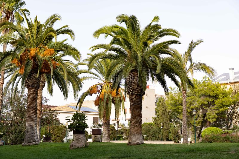 Foto ad34ae65-5d49-460b-bda9-31ab59a00128. Casa a schiera con parcheggio in Pueblo Eliana (l´)