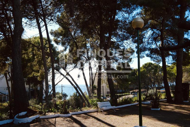 Foto 346ddfc9-5a49-4a50-b994-eeafd3223c0e. Appartamento con piscina in pla de maset - cap de Salou Salou