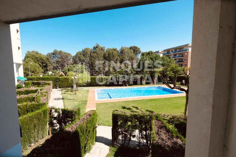 Foto f200000e-7382-41dc-959f-0aa5601965c1. Dúplex amb piscina a Passeig Marítim Miami Platja