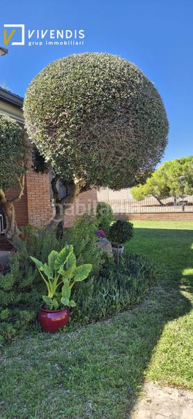 Foto 5e43eab4-25ae-470e-898a-47a36e0c5644. Chalet mit heizung parking pool in Alpicat