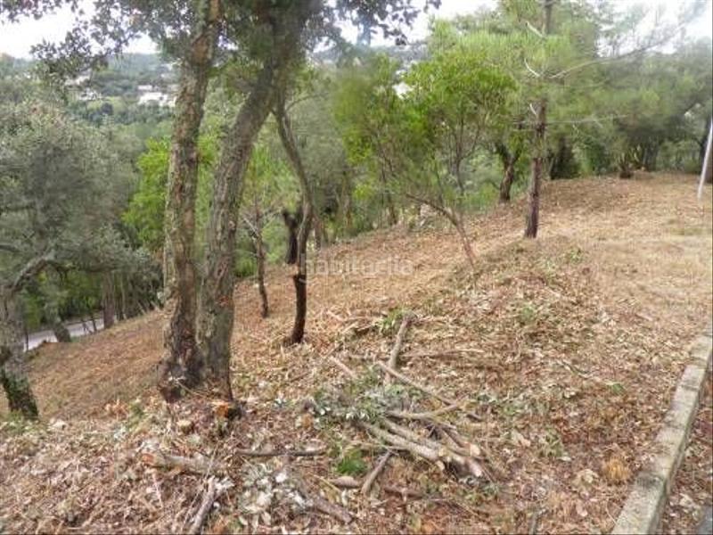 Foto 723969f0-ec44-45a9-83b9-b54e1f1a2ae5. Terreno residencial ¡¡bajada de precio!! grandioso terreno en Aiguaviva Parc, en Vidreres