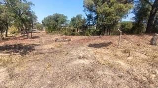 Terreny residencial a Terrafortuna - Puig Ventós. Tres parcelas con superficie total de 2.568m2 y con posibilidad