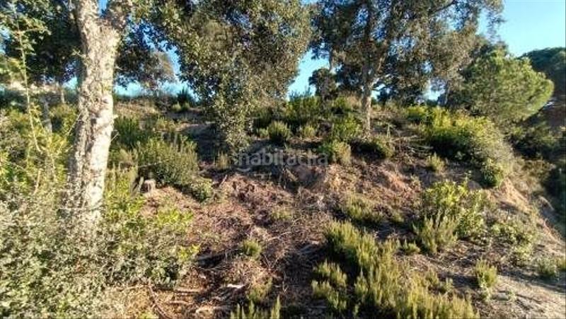 Foto 66148126-4d01-4452-9966-a5825ae91afb. Residential plot in Lloret Residencial - Montlloret Lloret de Mar