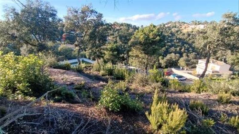 Foto ac721649-58ff-4d8a-a3fb-2b434e4ea7e5. Residential plot in Lloret Residencial - Montlloret Lloret de Mar