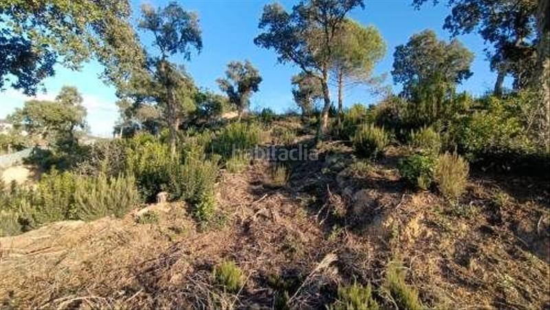 Foto f4ad25b0-739e-4591-a1e8-f0a82de6383a. Residential plot in Lloret Residencial - Montlloret Lloret de Mar