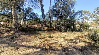 Terreno residencial en Carrer platja d'aro 10. Fantástico terreno cerca de la entrada de la creu de lloret
