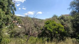 Terreno residencial en Lloret Verd - Els Pinars. Parcela descendente y edificable en los pinares, lloret de mar