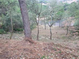 Residential Plot in Lloret Residencial - Montlloret. Gran parcela de 900m2 con todos los servicios en lloret de mar