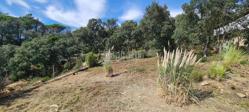 Foto d5a9d211-6bec-4841-84c2-b2ac3c40686d. Terreno residenziale in Aiguaviva Parc Vidreres