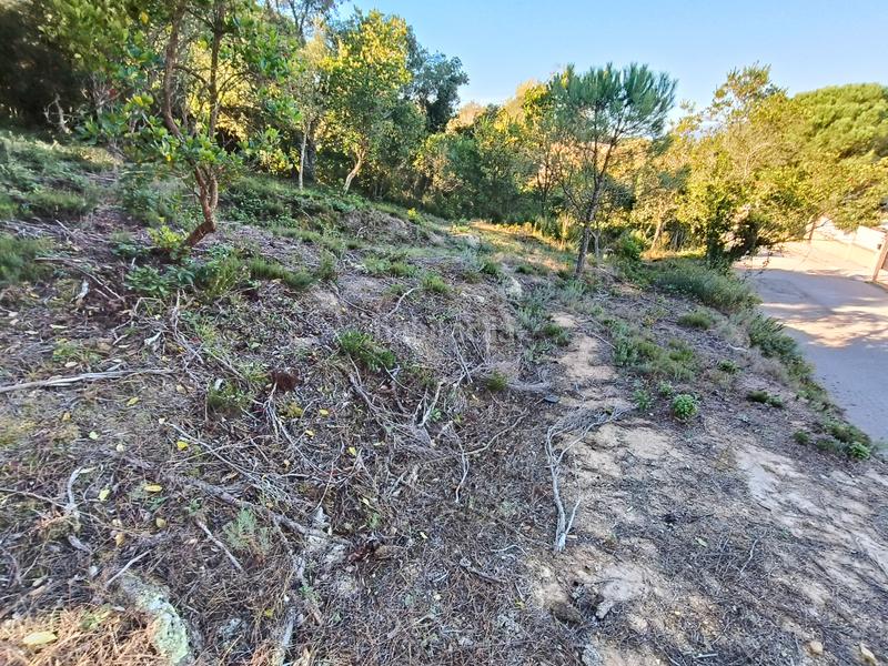 Foto 0759c69c-c5cf-4488-82eb-64b3a5478ba5. Terreny residencial a Lloret Residencial - Montlloret Lloret de Mar
