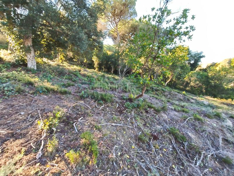 Foto 285983ba-4931-4879-9e58-129f0aa7df4b. Terreny residencial a Lloret Residencial - Montlloret Lloret de Mar